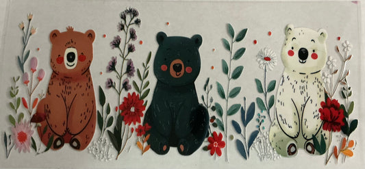 Bear Image
