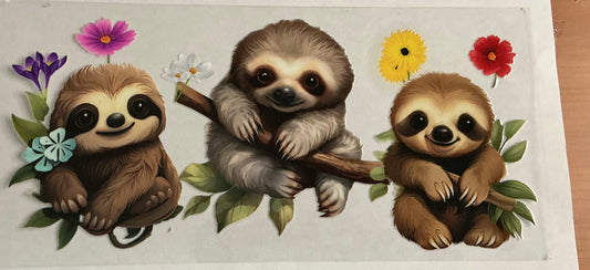 Sloth Image