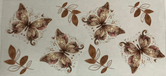 Butterfly Image