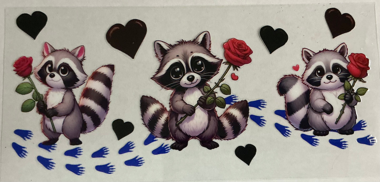 Raccoon Image