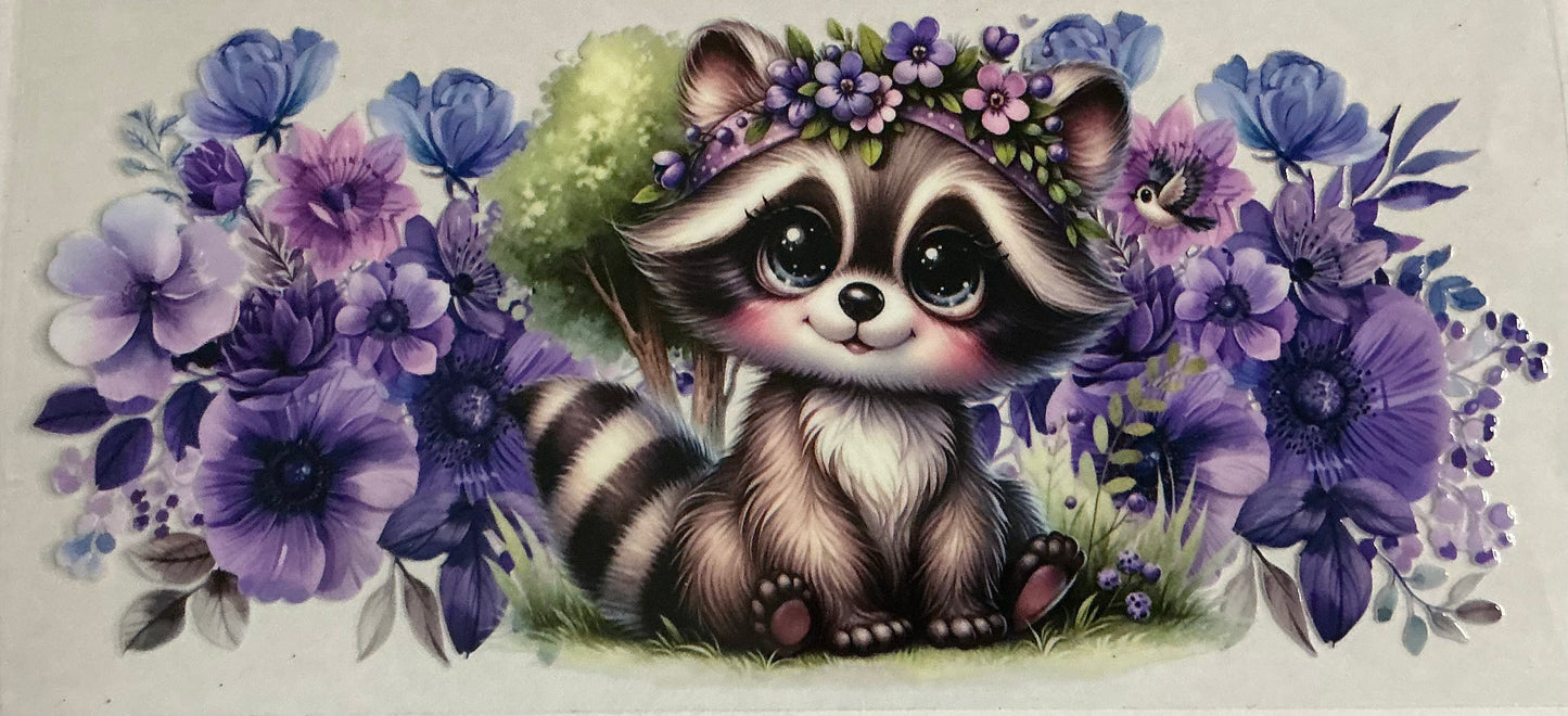 Raccoon Image