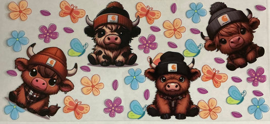 Cow Image