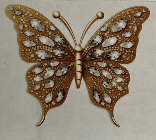 Butterfly Image