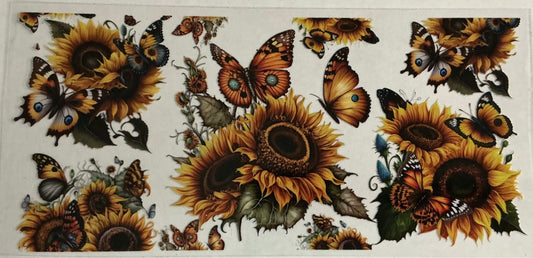 Butterfly Image