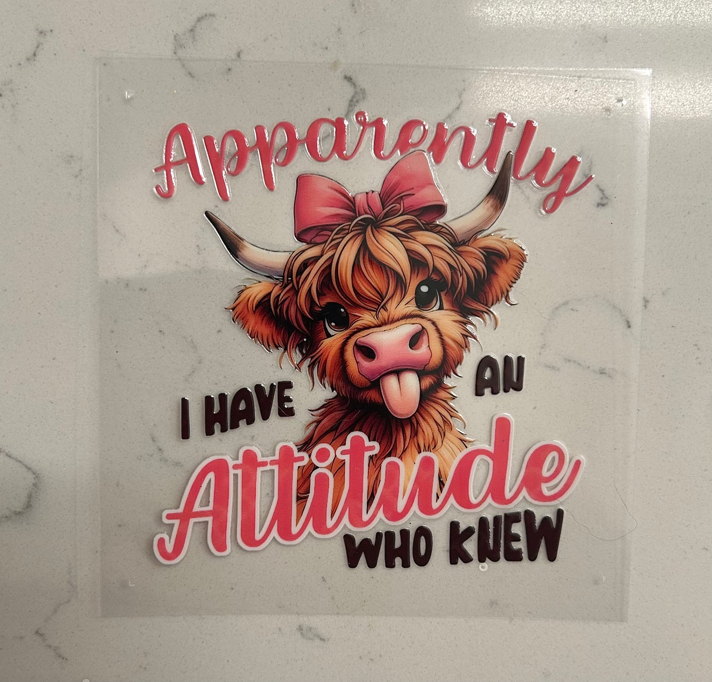 Attitude