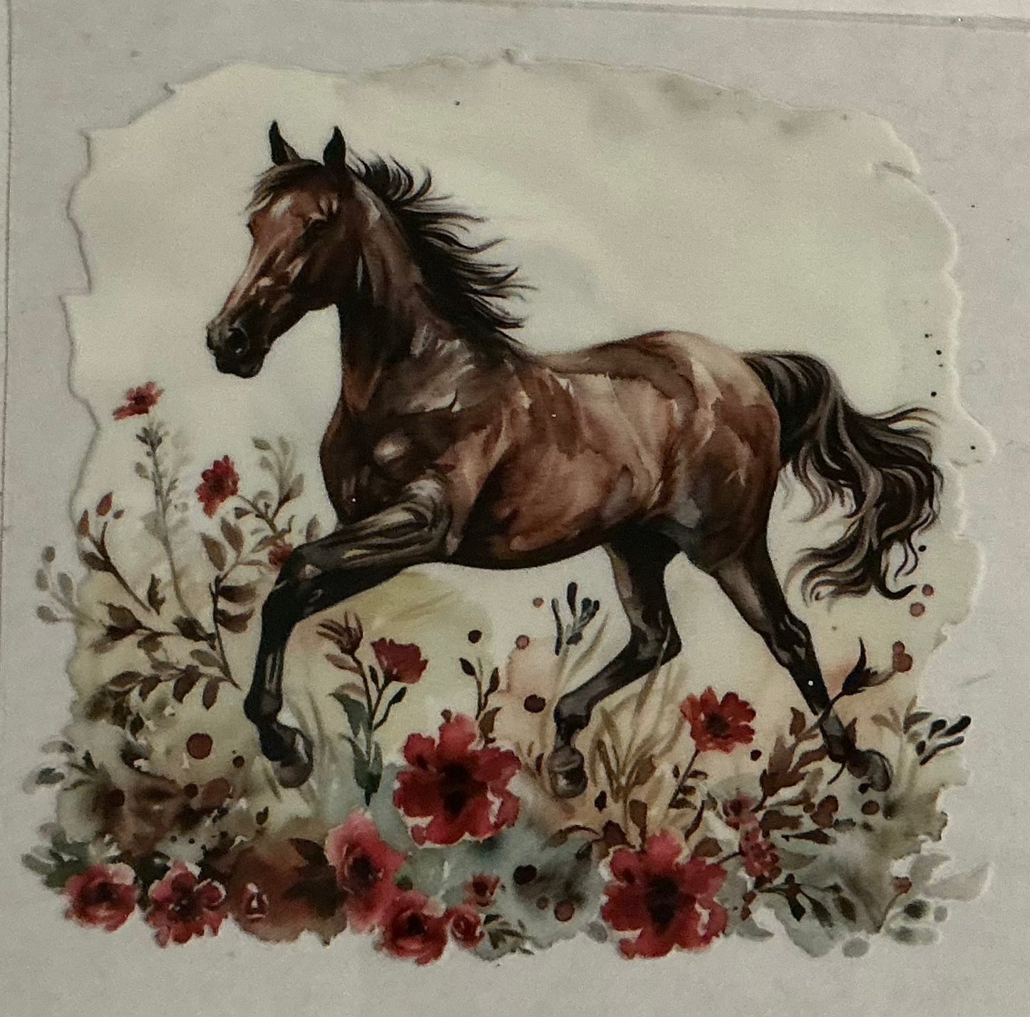 Horse Image